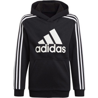 adidas Essentials Logo Jr H62266 sweatshirt