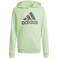 Adidas Big Logo Hoodie Jr IS2591 sweatshirt