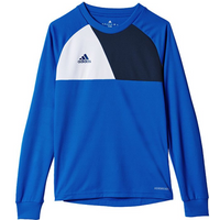 Adidas Assita 17 Jr AZ5404 sweatshirt