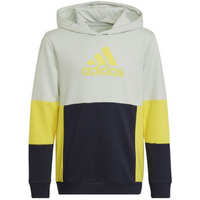Adidas Colourblock Hoodie Jr HN8567 sweatshirt