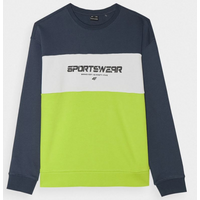 4F sweatshirt 4FJWSS24TSWSM0923 72N
