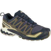 Salomon XA Pro 3D v9 GTX M L47823000 Running Shoes