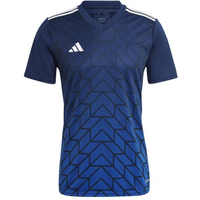 adidas Team Icon 23 Jr HR2631 T-shirt