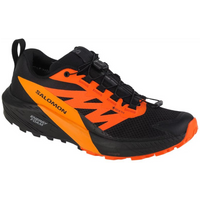Salomon Sense Ride 5 GTX M 471473 running shoes