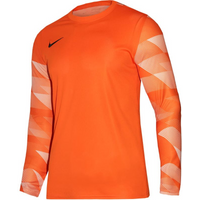 T-shirt Nike Dry Park IV JSY LS GK Jr CJ6072-819