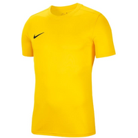 T-Shirt Nike Dry Park VII Jr BV6741-719