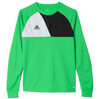 Adidas Assita 17 Jr AZ5406 sweatshirt