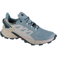 Salomon Supercross 4 GTX W 471201 running shoes