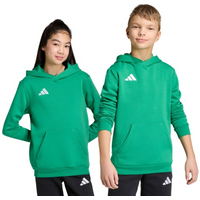 Adidas Entrada 26 Hoody green JZ6563 kids' sweatshirt