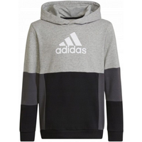Adidas Colourblock Hoodie Jr HN8563 sweatshirt