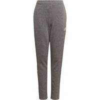 Adidas Tiro 21 Sweat Jr GP8809 pants