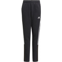 Adidas Tiro21 Sweat Jr GM7332 pants
