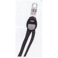 Trunk securing strap