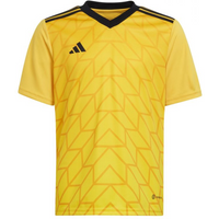 Adidas Team Icon 23 Jr T-shirt IC1253