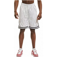Karl Kani Small Signature Pinstripe Mesh Short M 6014921