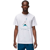 Men's Air Jordan Graphic Crew Flight Tee white - DV8414-100