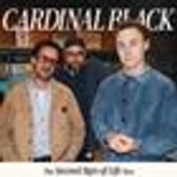 Cardinal Black at stylus