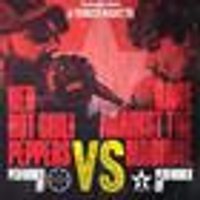 RATM Experience v's Chilifornication at birdwell venue
