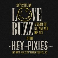 Hey Pixies at hare and hounds