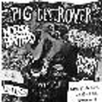 Pig Destroyer / Horsebastard / Struck a Nerve
