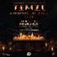TEMIC at club academy