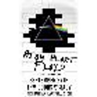 Atom Heart Floyd - Pink Floyd Tribute