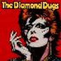 The Diamond Dugs Present: The Music of David Bowie
