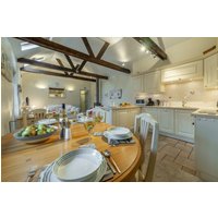 Little Gull - 23743303079 Little Gull