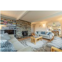 Palm Trees - 23743303091 Palm Trees