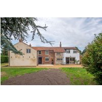 The Hogg - 30936616841 The Hogg