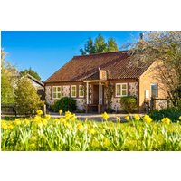 Brambles - 32428646941 Brambles