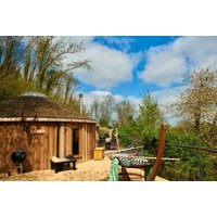 Buzzard Treehouse