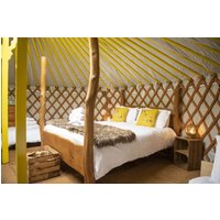 Goldfinch Yurt