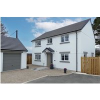 Abelia - 33940090511 Abelia