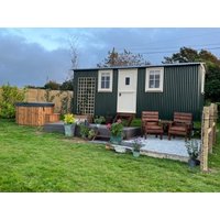 Foxglove - 37590567924 Foxglove