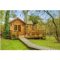 Bears House