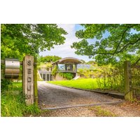 Sedum House (8)
