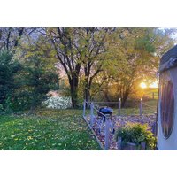 Starry Skies