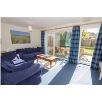 Sea Aster - 8094678189 Sea Aster