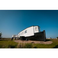 The Wild Duck - 8094678353 The Wild Duck