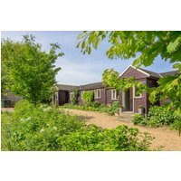 Hollyhock - 8094677983 Hollyhock