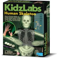 Click to view product details and reviews for 4m Kidz Labs Human Skeleton. Click to view product details and reviews for 4m Kidz Labs Human Skeleton.