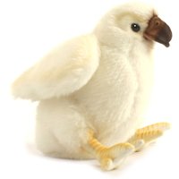 Click to view product details and reviews for Hansa Toys Eaglet Soft Toy. Click to view product details and reviews for Hansa Toys Eaglet Soft Toy.
