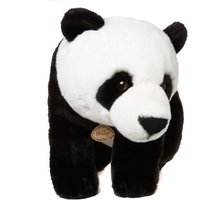Click to view product details and reviews for Hamleys Large Panda. Click to view product details and reviews for Hamleys Large Panda.