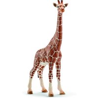 Click to view product details and reviews for Schleich Female Giraffe. Click to view product details and reviews for Schleich Female Giraffe.
