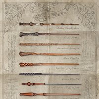 Click to view product details and reviews for Harry Potter The Wand Chooses The Wizard Maxi Poster. Click to view product details and reviews for Harry Potter The Wand Chooses The Wizard Maxi Poster.
