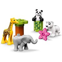 Click to view product details and reviews for Duplo Town Baby Animals. Click to view product details and reviews for Duplo Town Baby Animals.