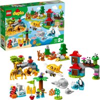Click to view product details and reviews for Duplo Town World Animals. Click to view product details and reviews for Duplo Town World Animals.