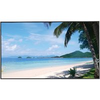 Dahua 43 Zoll Monitor. Display mit 3840x2160px Pixel Auflösung, 8ms Reaktionszeit