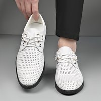 2025 Summer Business Formal Hole Shoes Men's Hollow Casual Korean Style Leather Sandals